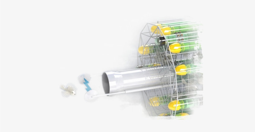 Building Robots To Hunt Lionfish - Cage, transparent png #3458494