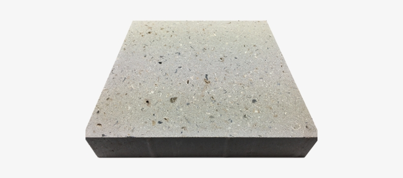 Shell - Concrete, transparent png #3458622