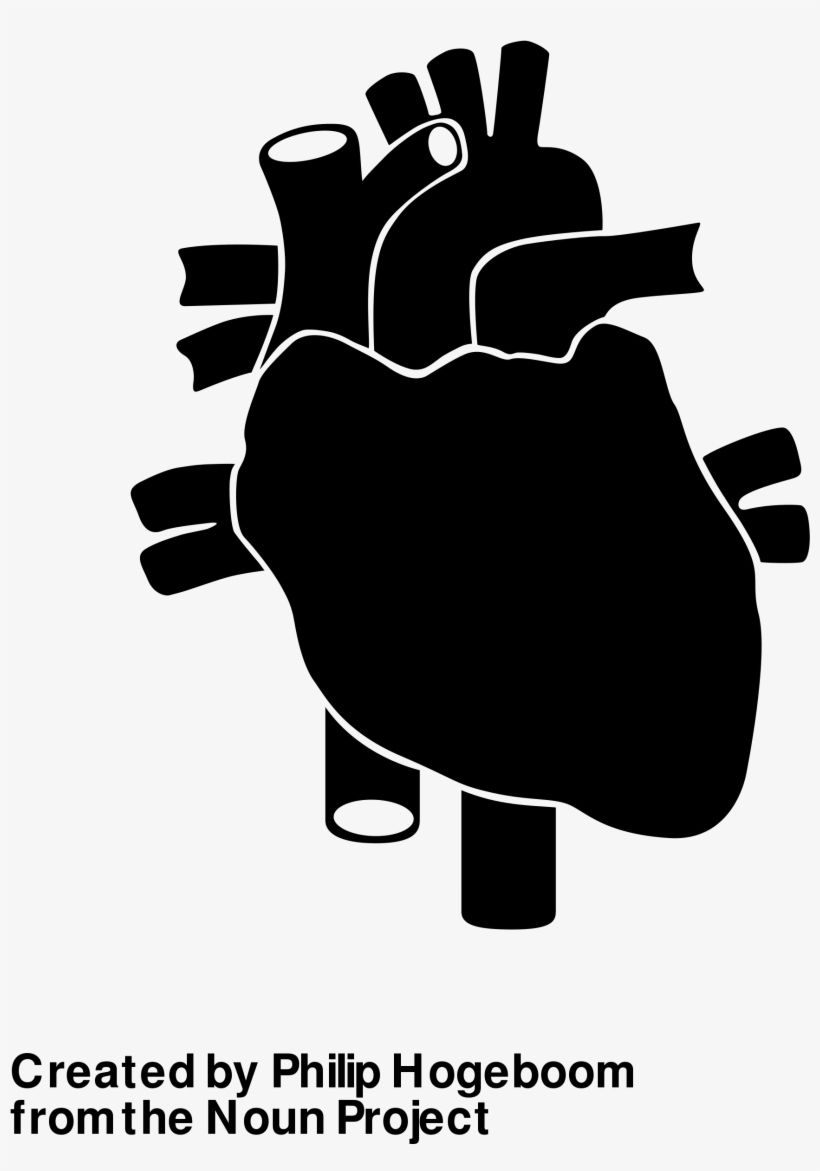 Open - Vintage Anatomical Heart Stainless Steel 6 Oz Flask, transparent png #3458697