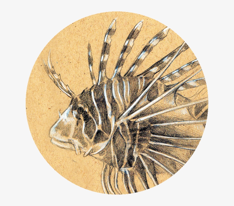 Pest, transparent png #3458747