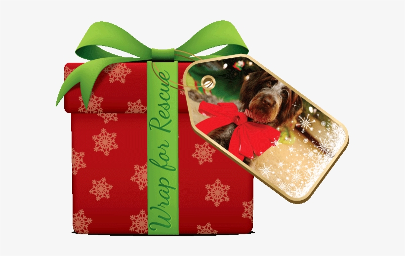 Wrapping For Rescue, transparent png #3460102
