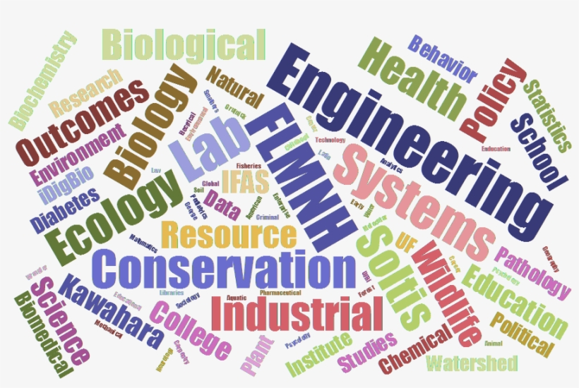 Graph Of Participants' Status At Uf And Word Cloud - Delhi School Of Internet Marketing, transparent png #3462377