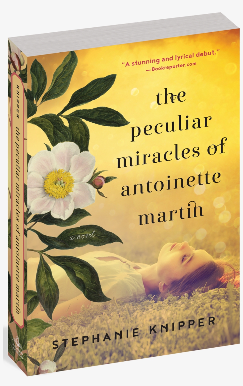 In The Spirit Of Vanessa Diffenbaugh's The Language - Peculiar Miracles Of Antoinette Martin, transparent png #3462792