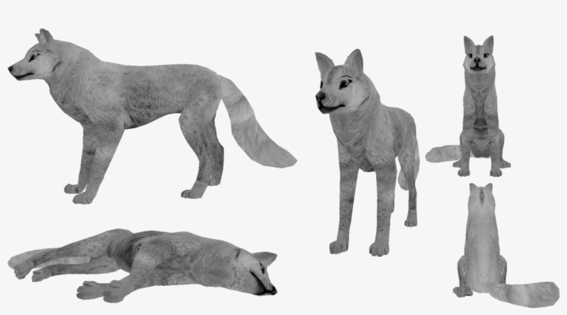 Free Feral Heart Fur Texture By Missdiealot - Feral Heart Rare Fur Texture, transparent png #3463816