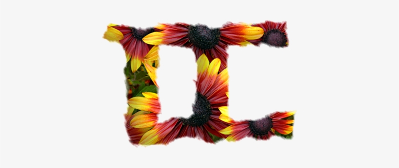 Thread, transparent png #3464056