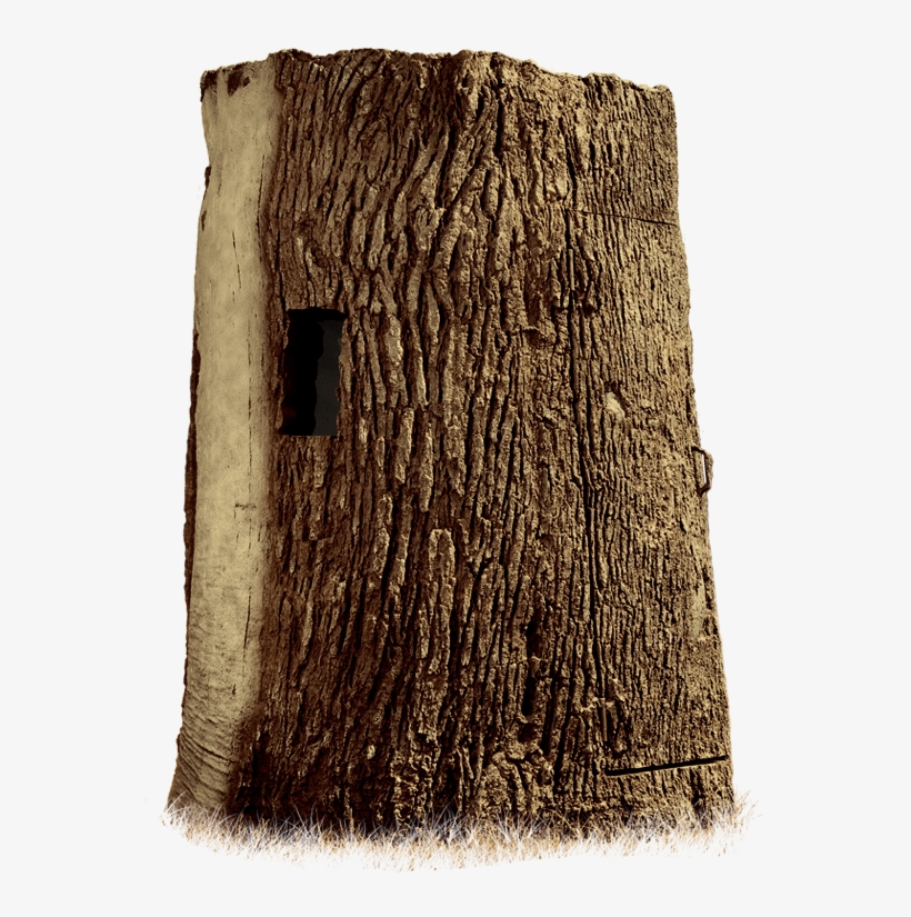 Solo - Nature Blinds Treeblind Solo H814246, transparent png #3464188