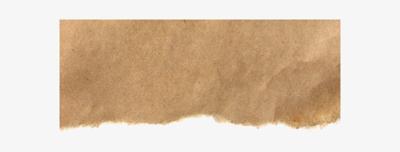 Loyalty Program, transparent png #3464244