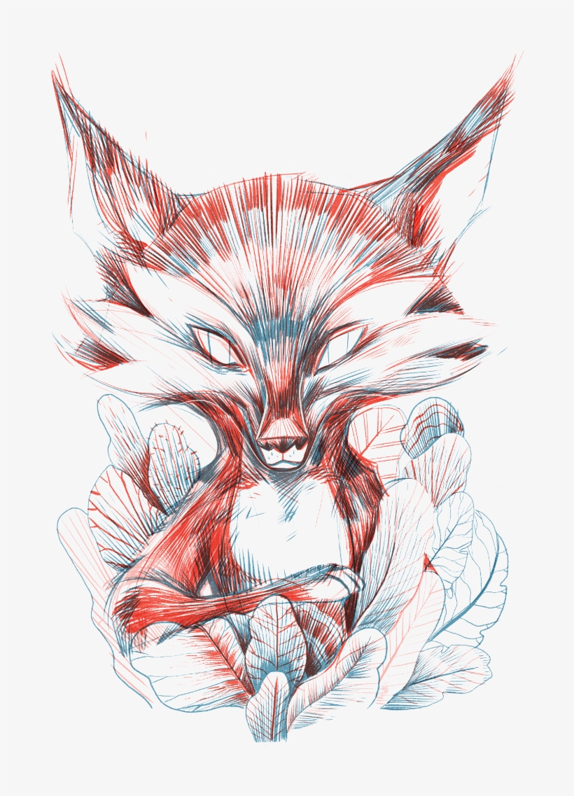 Animals Of The Afan Woods In Northern - Kokoro London Dry Gin, transparent png #3464782