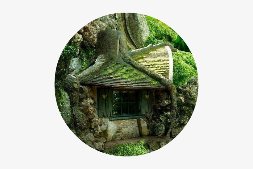 11138485 1640109639564387 2274800611361919350 N - Coolest Houses In Nature, transparent png #3465012