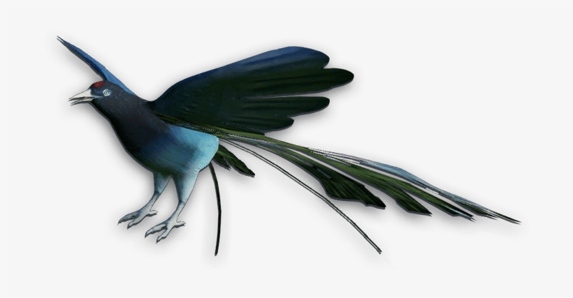 Bird Of Paradise - Birds Of Paradise Png, transparent png #3465978