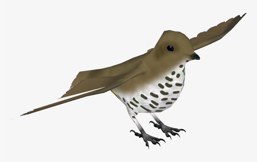 King Of Saxony Bird Of Paradise F - Wren, transparent png #3466116