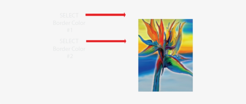 Bird Of Paradise, transparent png #3466271