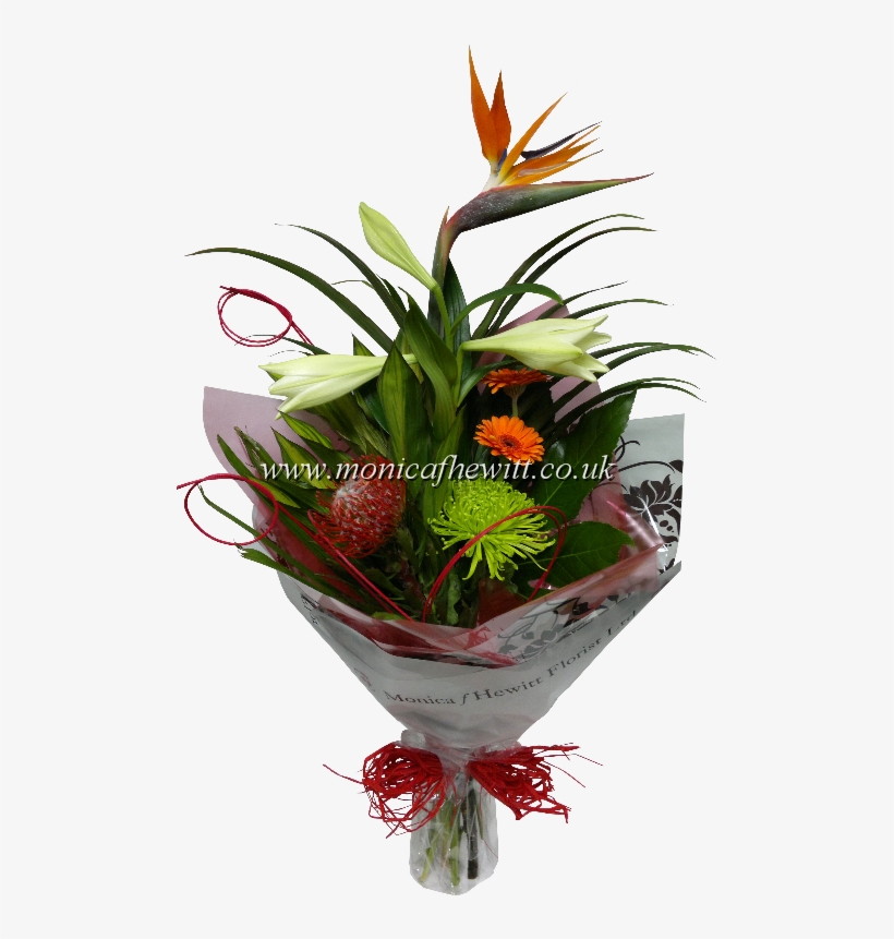 Bird Of Paradise - Bird-of-paradise, transparent png #3466434