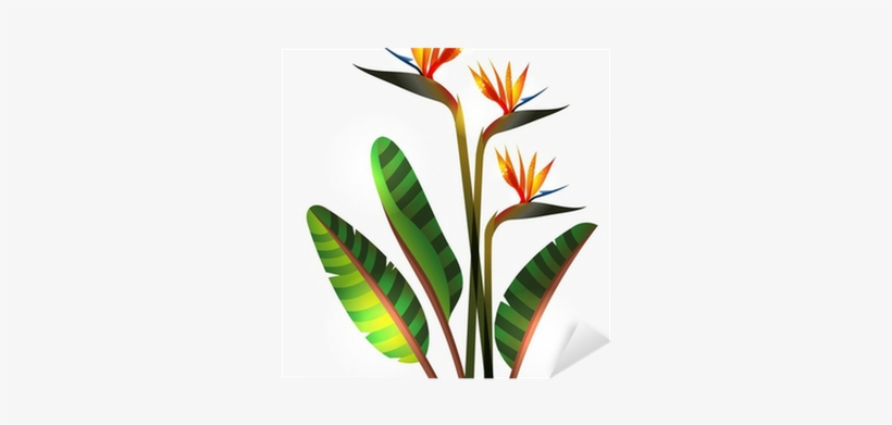 Bird Of Paradise Flower And Stem Sticker • Pixers® - Bird Of Paradise Flower, transparent png #3466459