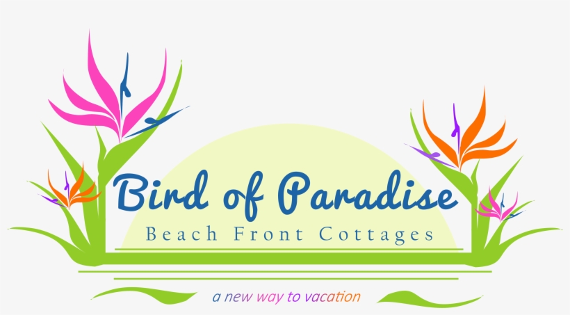 Bird Of Paradise Beachfront Cottages, transparent png #3466482