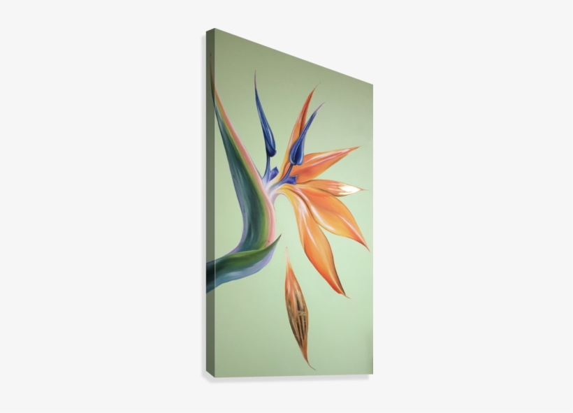 Bird Of Paradise, transparent png #3466544