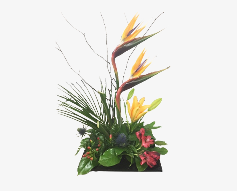 Birds In Paradise - Bouquet, transparent png #3466616