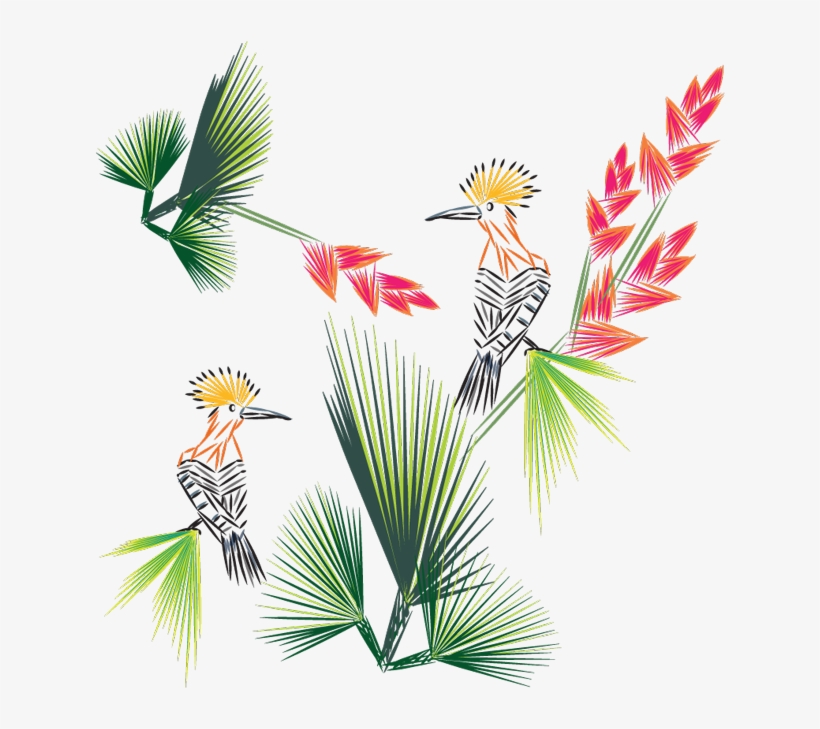 Birds Of Paradise Interiors - Design, transparent png #3466667