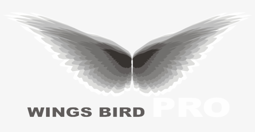 Wings Bird Pro - Food, transparent png #3467158
