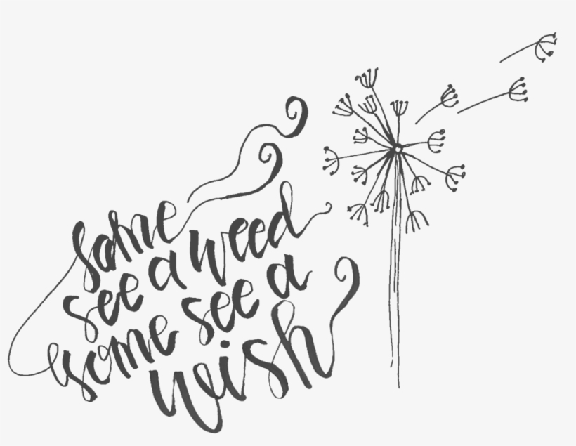 Wish - Portable Network Graphics, transparent png #3467444