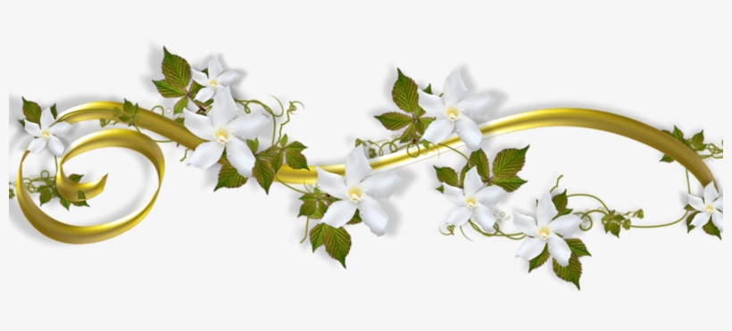 0 Bb287 65dd7b4d Xl - Barre De Separation Plantes, transparent png #3468861