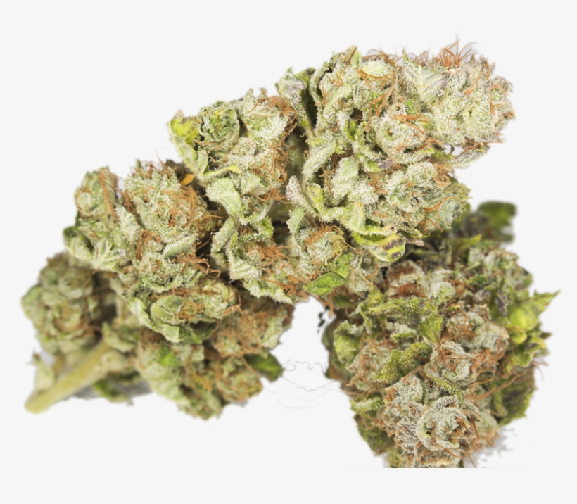 Joint Bruce-banner3 - Bruce Banner Og, transparent png #3469305