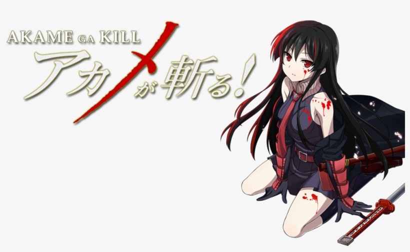 Akame Ga Kill Image - Akame Ga Kill T Shirt, transparent png #3473467