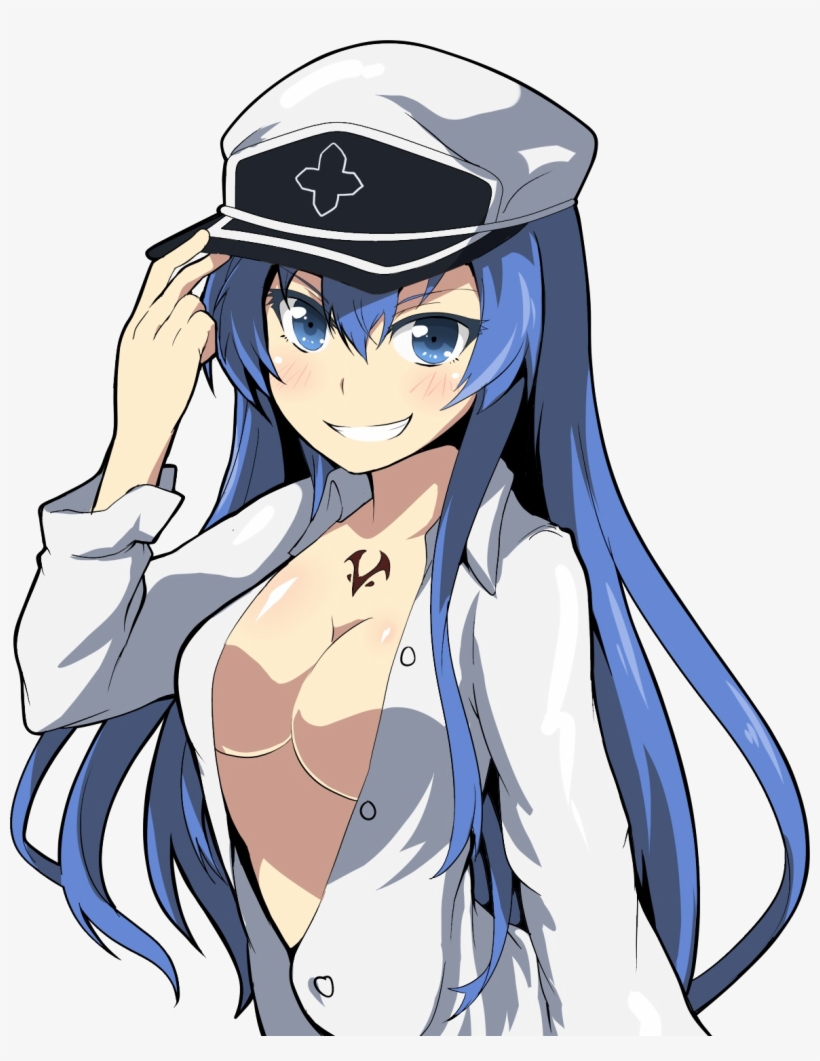 View Samegoogleiqdbsaucenao 1412833571058 , - Akame Ga Kill Esdeath Lewd, transparent png #3473742