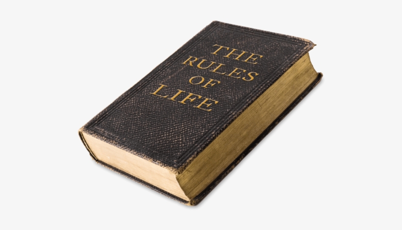 Tercera Parte Resumen Reglas Básicas Del Juego De Golf - Life Rules: Nature's Blueprint For Surviving Economic, transparent png #3477828
