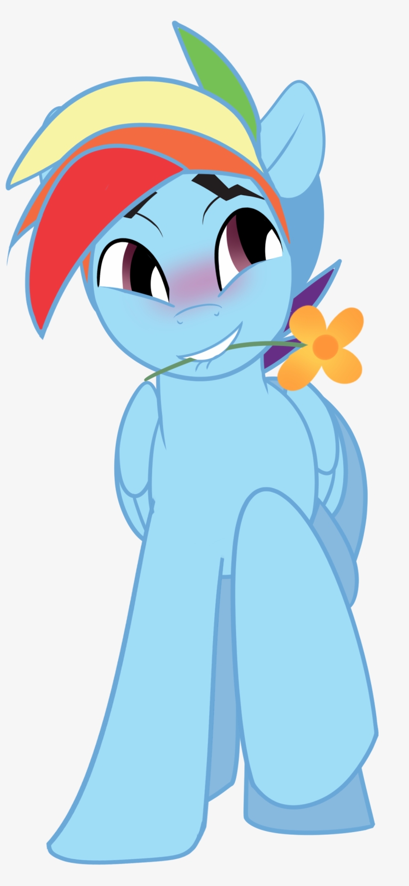 Rainbow Dash, transparent png #3478903