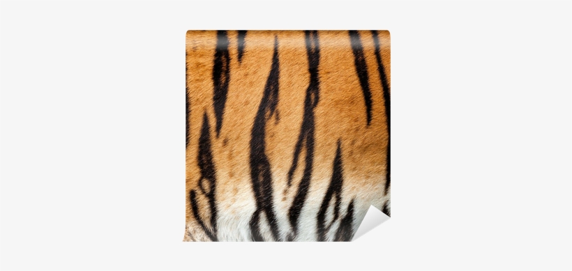Real Live Tiger Fur Stripe Pattern Background Wall - Zazzle Tiger Fur Large Tote Bag, transparent png #3480458