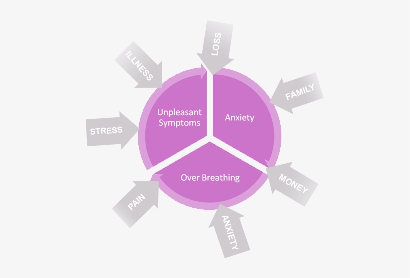 If There Is A Prolonged Stress Or May Be A Repeated - Learning, transparent png #3480872