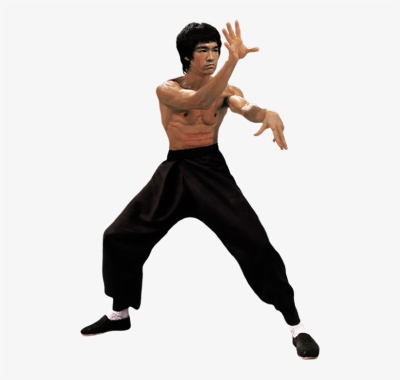Kung Fu Dragon By Gdsfgs - Free Transparent Bruce Lee, transparent png #3481473