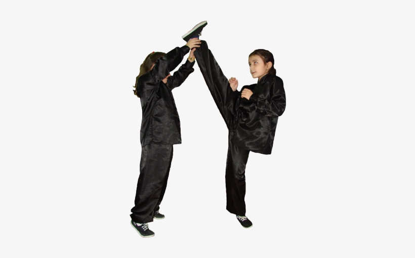 Kung Fu - T'ai Chi Ch'uan, transparent png #3481555