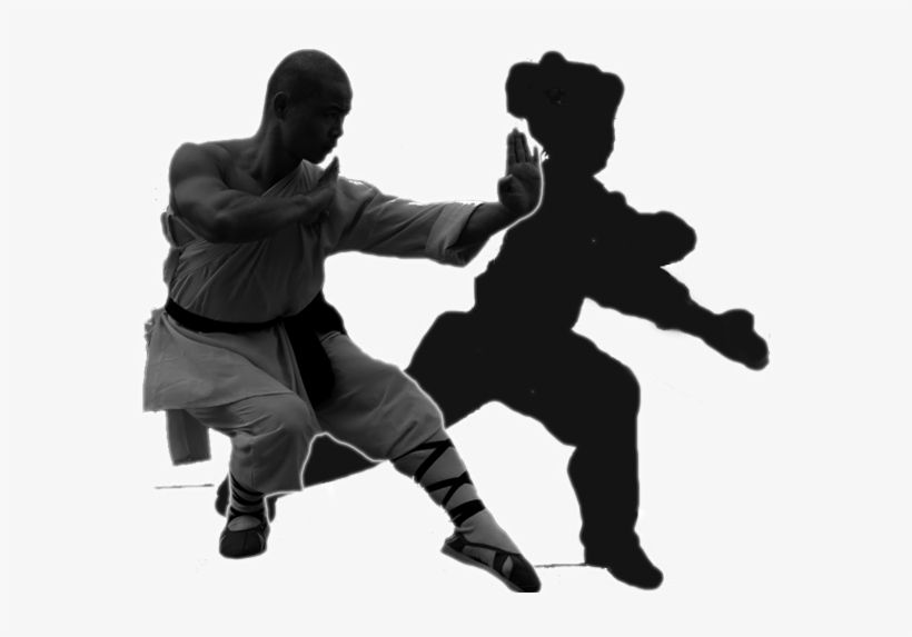 Chinese Kungfu Wushu 中国武术, transparent png #3482082