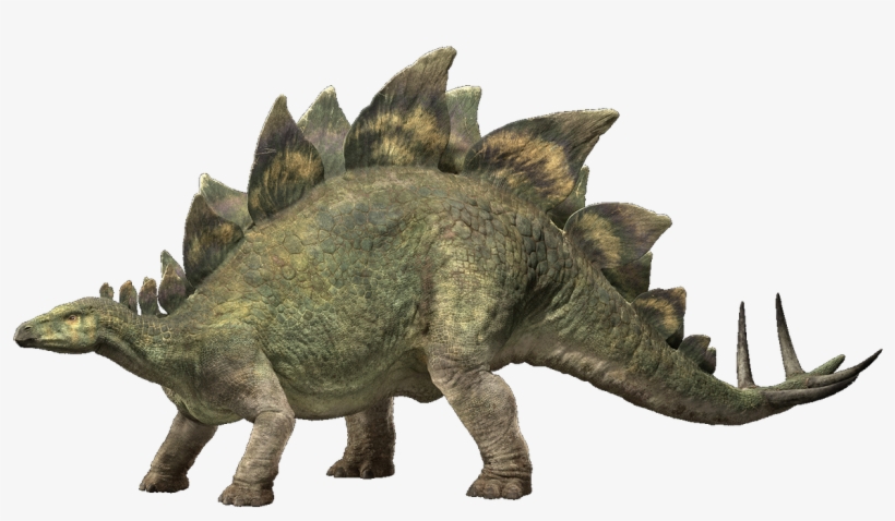 Even If The Movie Is Out For A While, We Still Find - Jurassic World Fallen Kingdom Stegosaurus, transparent png #3483952