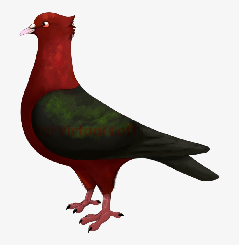 Clipart Stock Archangel Drawing Bird - T-shirt, transparent png #3484086