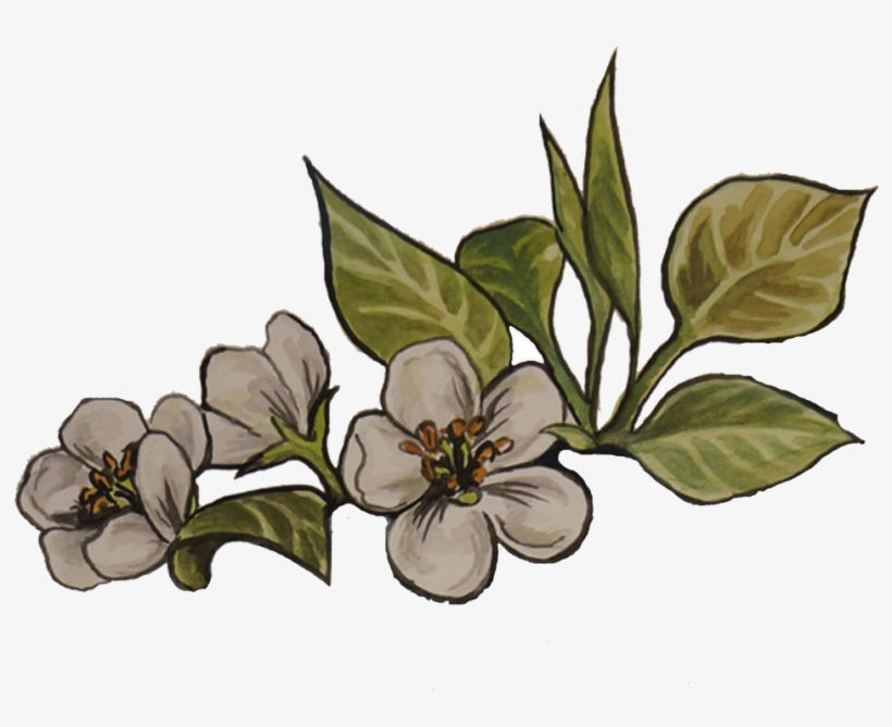 Indominus Rex & Raptor Hatchlings Are Sold Out For - Art, transparent png #3484103