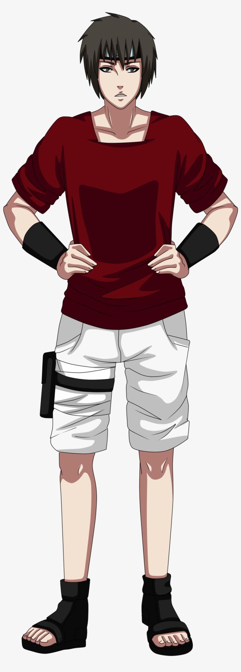 Gaiton Team Okami Pre - Ōkami, transparent png #3484189