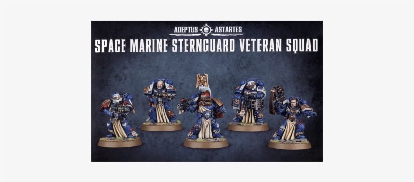 Space Marine Sternguard Veteran Squad - Space Marine Sternguard Squad, transparent png #3486171
