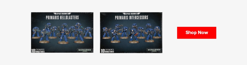 With These Two Releases, We Now Have The Backbone Of - Space Marines Primaris Intercessors, transparent png #3486336
