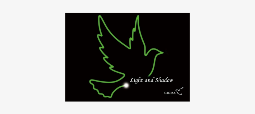 Mms Light And Shadow Magic Home Lucian Trick Kit, Green, transparent png #3486827