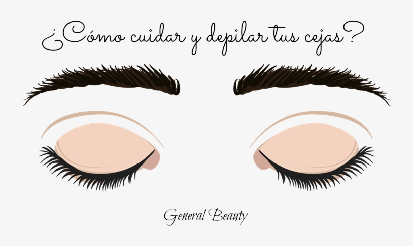 Cuidado Y Depilación De Cejas - Eyelash Extensions, transparent png #3487071