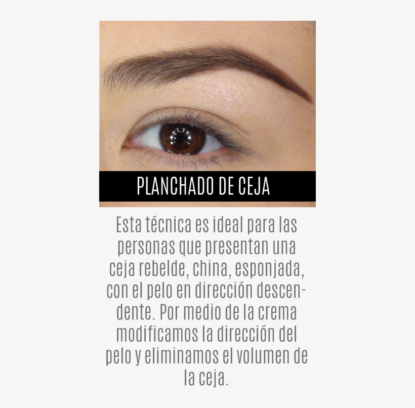 Diseño De Cejas - Design, transparent png #3487493