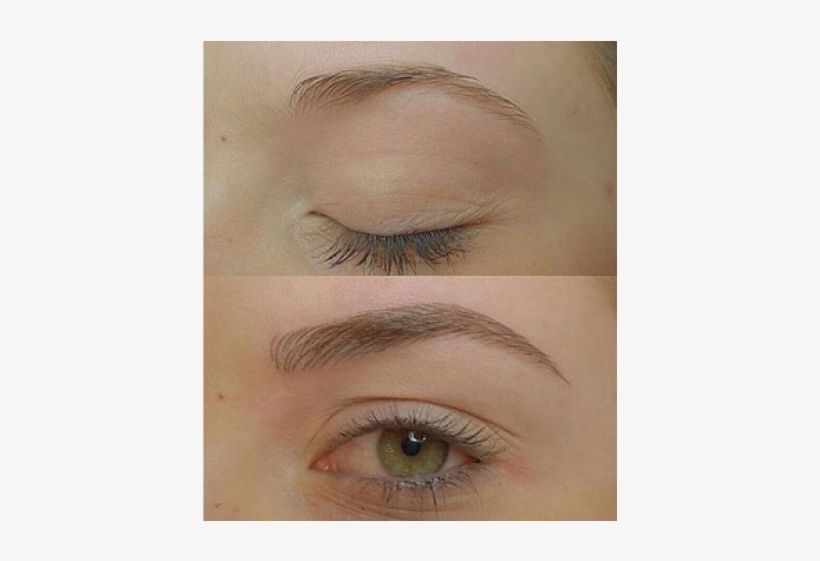 Previous - Light Brown Microblading Eyebrows, transparent png #3487495