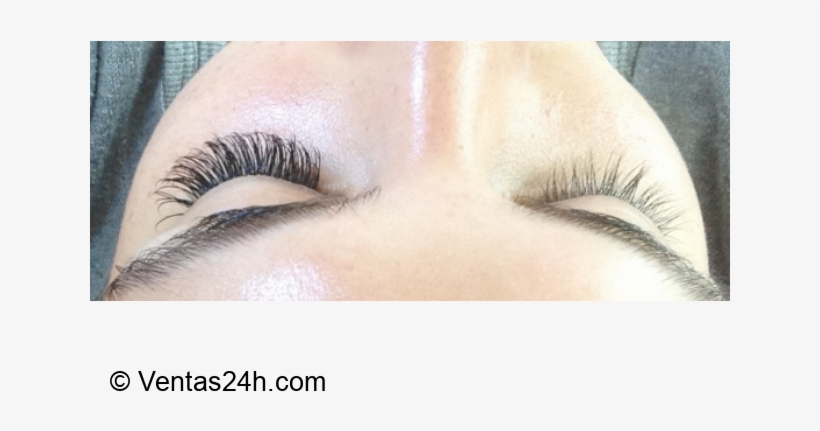 Pestañas Pelo A Pelo Obsequio Diseño De Cejas, transparent png #3487641