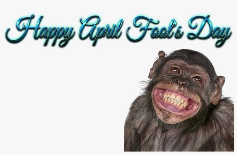 Happy Birthday Funny Smile, transparent png #3488289