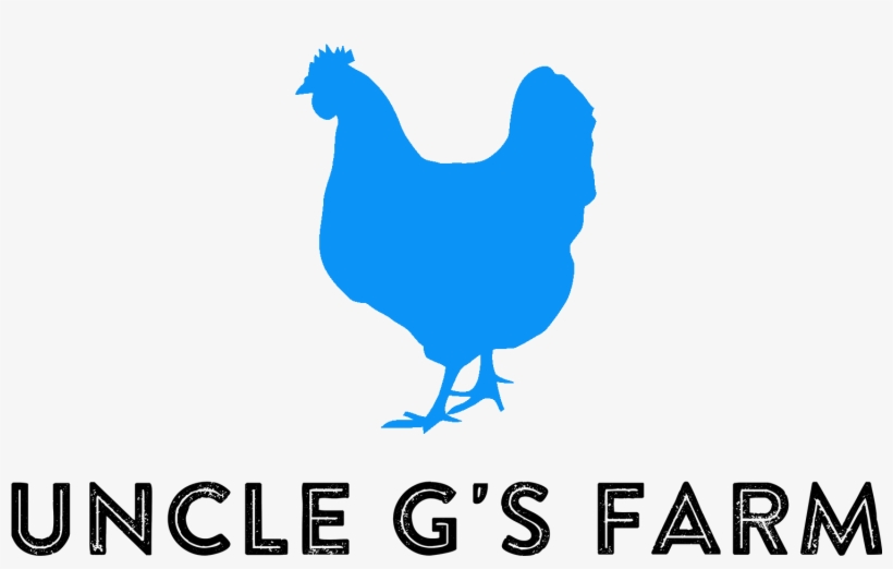 Silhouette Chicken Clip Art Black And White, transparent png #3488410