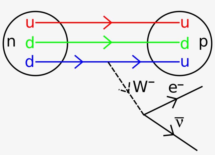 Física De Partículas - Diagrama De Feynman Decaimiento Beta, transparent png #3488510