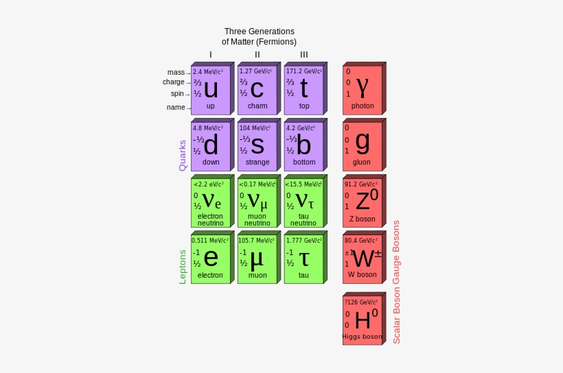 Entonces, Hasta Ahora, Todos Los Átomos De Los Elementos - Quarks Bosons And Leptons, transparent png #3488680